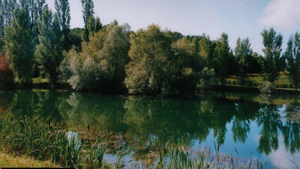 La Decouverte, Jacuzzi, Sauna, Et Terrasse Avec Vue Sur Lac A La Campagne Entre Toulouse Et Auch Catonvielle Экстерьер фото